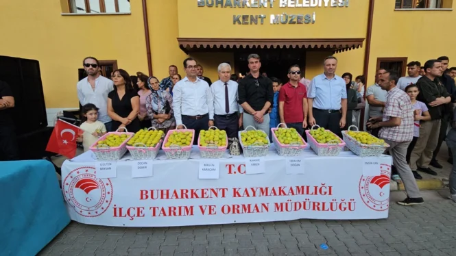 Aydın’ın Bereketli Topraklarından Sofralarınıza: Organik Zeytin ve Zeytinyağının Doğal Hikayesi